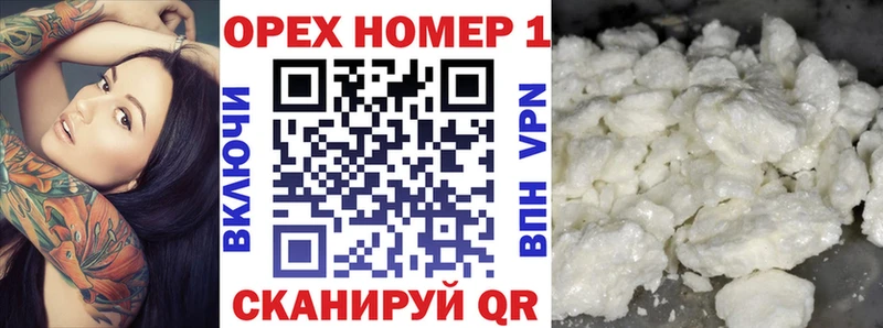 Купить закладки  Приморск  Cocaine Fish Scale 