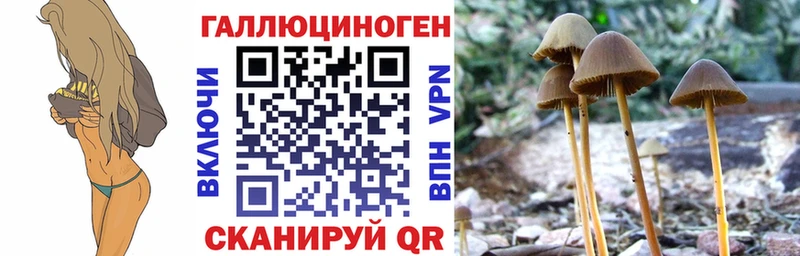 Галлюциногенные грибы GOLDEN TEACHER Приморск