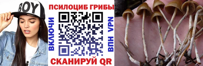 Галлюциногенные грибы MAGIC MUSHROOMS Купить где Приморск
